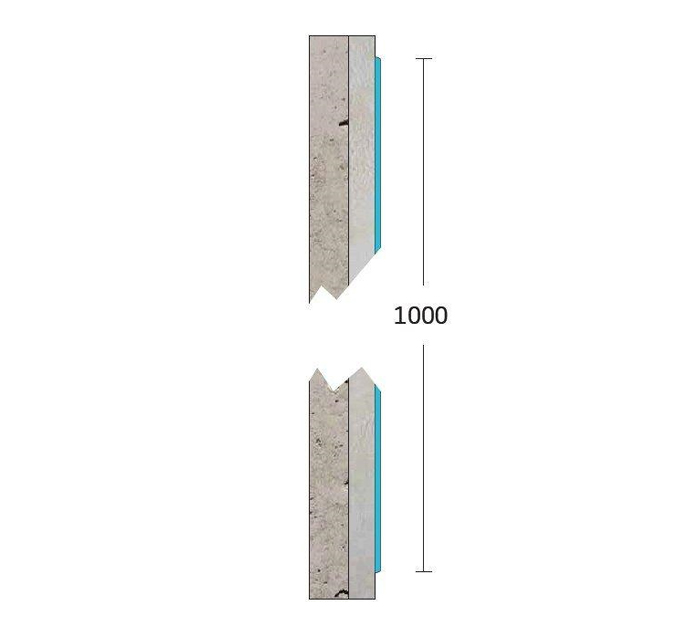 WG 1004